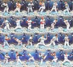 Item thumbnail for item 299d5189-d2d8-45d7-8a15-6c4bc9441b99