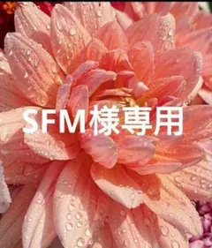 SFM様専用 白無地 ハンドメイドマスク 6枚セット