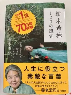 Item thumbnail for item 9cc2e91b-7aa7-422a-9c93-bf5e7cc038b1