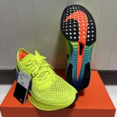 Item thumbnail for item 3970c7d7-aac2-4d2c-baa2-ca95567b62f9