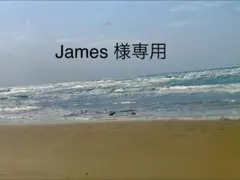 James 様専用