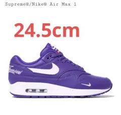 Supreme Nike Air Max 1 