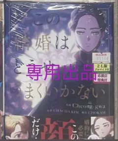 【専用出品】この結婚はうまくいかない1巻