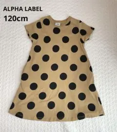 Item thumbnail for item 6319cfae-230c-4774-a4b0-4e12da5529dc