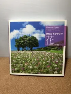 写真集 見わたすかぎりの花