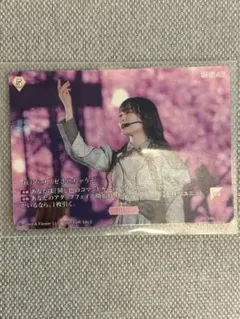 ビルディバイド 井上梨名 テリトリープロモ - メルカリ