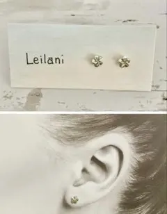 Item thumbnail for item acb899dc-b595-4144-bc2d-3db2b7ed62f4