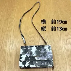 Item thumbnail for item 70d59f91-5e0f-4ad0-8746-661c3c703118