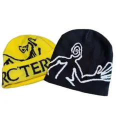 まとめ売り！ ニット帽 ビーニー swag y2k ストリート - メルカリ