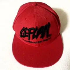 レフラー　WANIMA ワニマ　ステューシー　バンズ　サンタクルーズ　キャップ