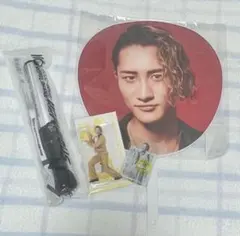 【匿名発送】SnowMan ライブ（2025〜2026 ON） 岩本照セット