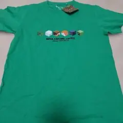 Item thumbnail for item a0ab5177-fe0f-43d2-80ae-1805368ab78e