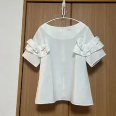 Item thumbnail for item 19ecad74-3edc-42c0-be69-5ea0f0edad17