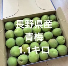 長野県産　青梅 1.1キロのサムネイル