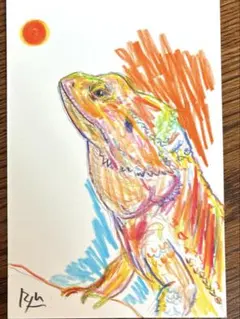 トカゲ　絵画　ドローイング