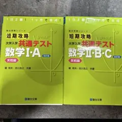 Item thumbnail for item 61d18d13-b524-4e62-ab31-74ceeededb12