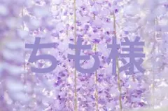 専用出品