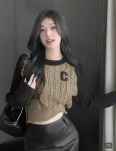 SHEIN ケーブルニット クロップド丈 長袖