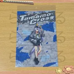 【新品】 ウマ娘 シンデレラグレイ マルイ クリアファイル タマモクロス
