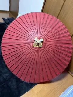 【正真正銘・昭和55年購入品｜ 未使用｜羽二重傘（高級蛇の目傘） 】 2026年最新】羽二重傘の人気アイテム - メルカリ