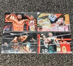 ☆*☆様 ラジャブアリ・シェイドゥラエフ rizin RIZIN ブロマイド