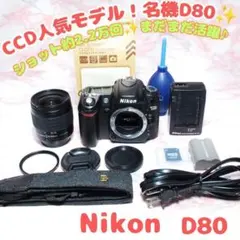 Nikon D90 本体 レンズ スピードライト セット - メルカリ