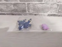 【中袋未開封】ポケモン へんしんメタモン ブラッキー