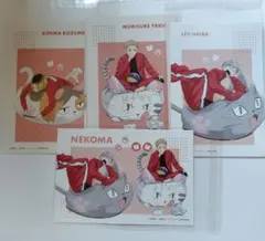 ハイキュー ジャンプフェスタ ポストカード 音駒 孤爪 夜久 灰羽