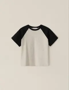 OHOTORO Scheme Raglan T-Shirtのサムネイル