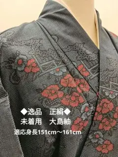 ナ1【47】◆逸品◆正絹◆未着用◆大島紬着物◆濃いブルー地 赤花柄模様