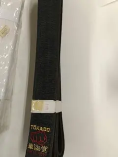 Item thumbnail for item 8acc9f38-add4-472e-a546-70d7c6295f8b