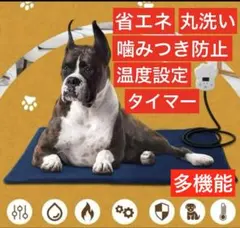 Item thumbnail for item c8a50014-e564-4069-b51c-7d96227c3d82