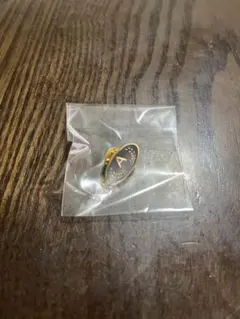 Item thumbnail for item 49e2d44f-32cd-491f-8b9a-264c9eac0350