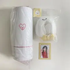 2025年最新】少女時代 ペンライト テヨンの人気アイテム - メルカリ