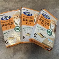 Item thumbnail for item 06b2d024-cb63-47ea-8d2b-7d4b0f0dd40c