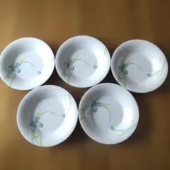 カレー.パスタ皿 5枚セット 　スプーン付き