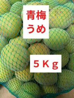 青梅　うめ　５Ｋｇ