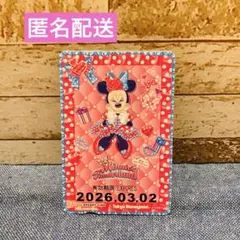 ミニー パルパルーザ リゾラ フリーきっぷ 期限切れ