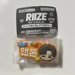 RIIZE ぷっくりめじるしアクセサリーガチャ　アントン　ANTON