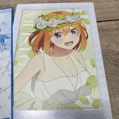 2026年最新】五等分の花嫁匠ウィンドウコレクションボードの人気