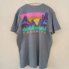 Comfort Colors ヨセミテ プリントTシャツ ブルー Mのサムネイル