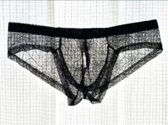 極薄シースルー ビキニブリーフ ハイレグ 前閉じ フロント立体成形 ブラック L