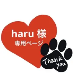 haru様 専用ページ オーダー刺繍ワッペン 名入れ