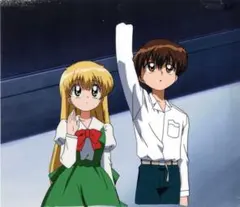 カードキャプターさくら アマダ PPカード キラ No.140 木之本桜