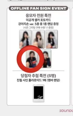 Apink 2026 SEASON’S GREETINGS ナムジュ　トレカ