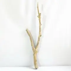 No.18 流木 ドアハンドル 取手 長さ71cm くの字×枝名残り - メルカリ