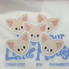 スキズ 6期 ペンミ SKZOO confetti アイエン 落下物