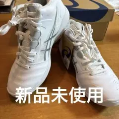 新品 ASICS アシックス GELHOOPワイド V13 24.5