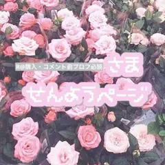 R@購入・コメント前プロフ必読様 リクエスト 4点 まとめ商品