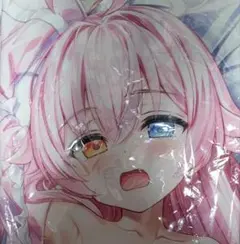 未開封 ブルーアーカイブ 小鳥遊ホシノ 藤真拓哉 抱き枕カバー Yan-Yam